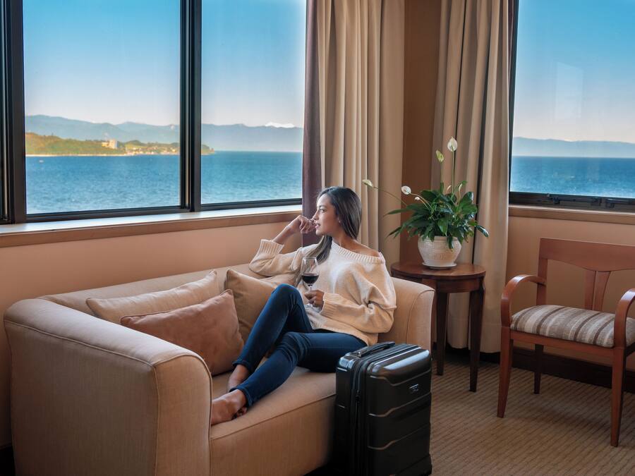 A room with a large window, a sofa, a chair, a potted plant, and a suitcase.