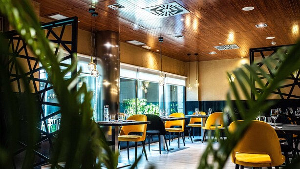 L’intérieur d’un restaurant avec un plafond en bois, des chaises jaunes et de grandes fenêtres.