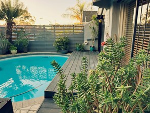 A swimming pool with a wooden deck, surrounded by various potted plants and a fence. - Point B Guest House (Cape Town)