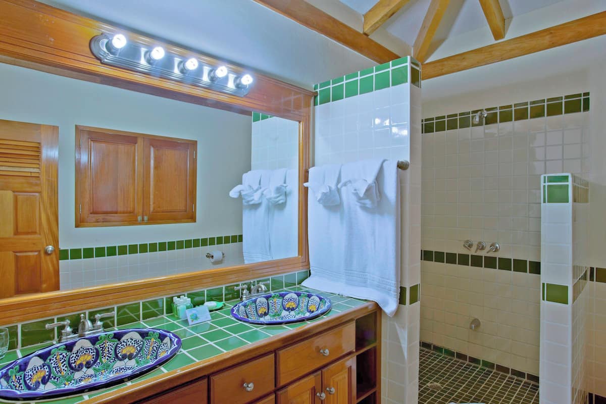 shower, rainfall showerhead, free toiletries, hair dryer