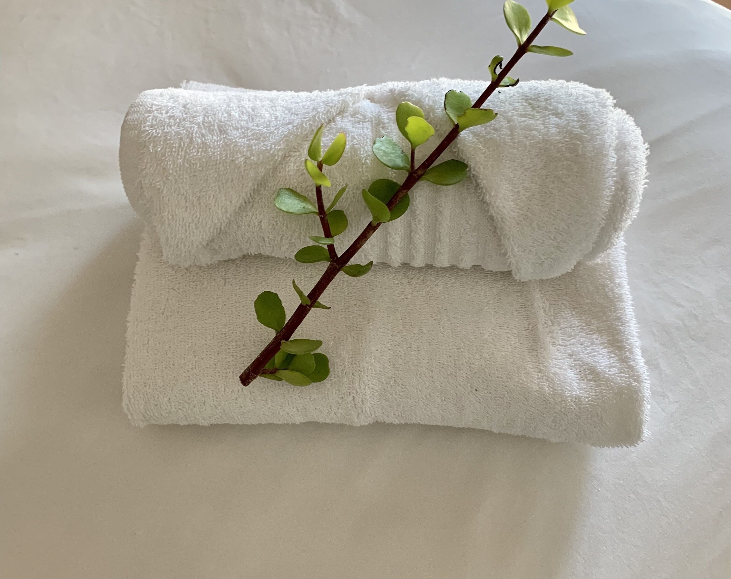 Photo - Woodbridge Lodge