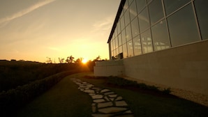 Un bâtiment moderne doté de grandes fenêtres en verre et d’un chemin en pierre menant à l’entrée.