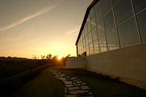 A modern building with large glass windows and a stone pathway leading to it.