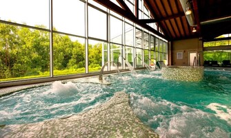An indoor hot tub with clear views of a forest through large windows.