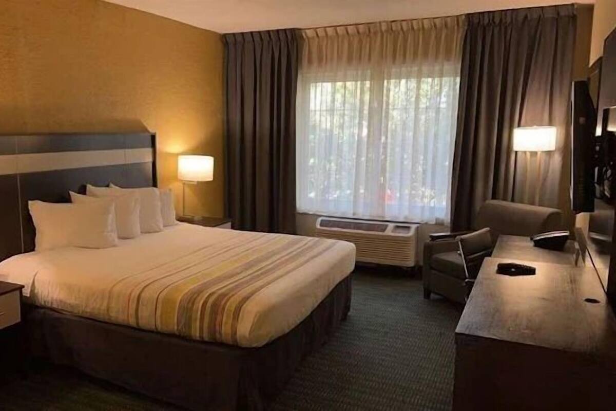 Standard Room | 1 bedroom, premium bedding, in-room safe, desk