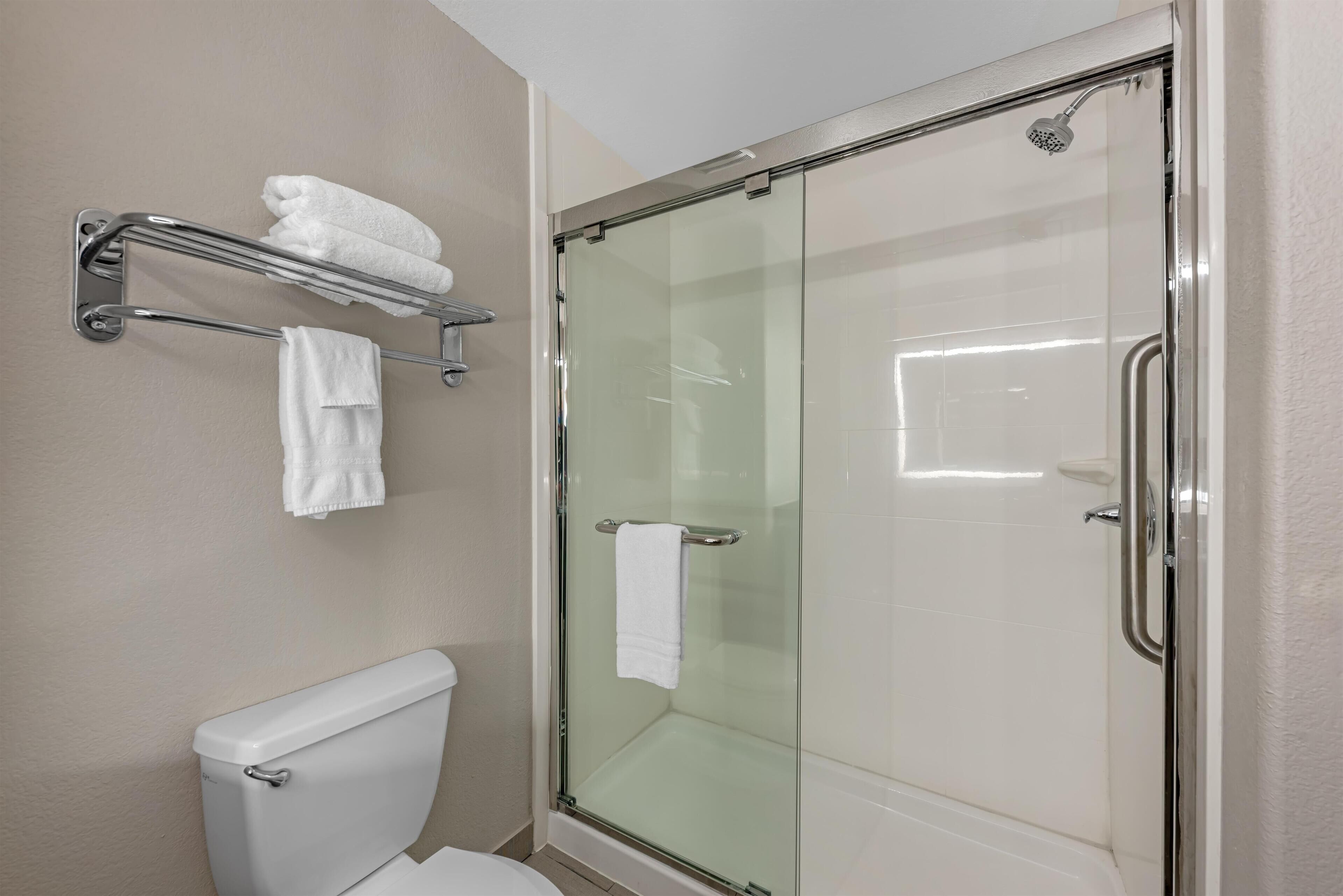 A bathroom with a glass-enclosed shower, a toilet, and a towel rack with two towels.