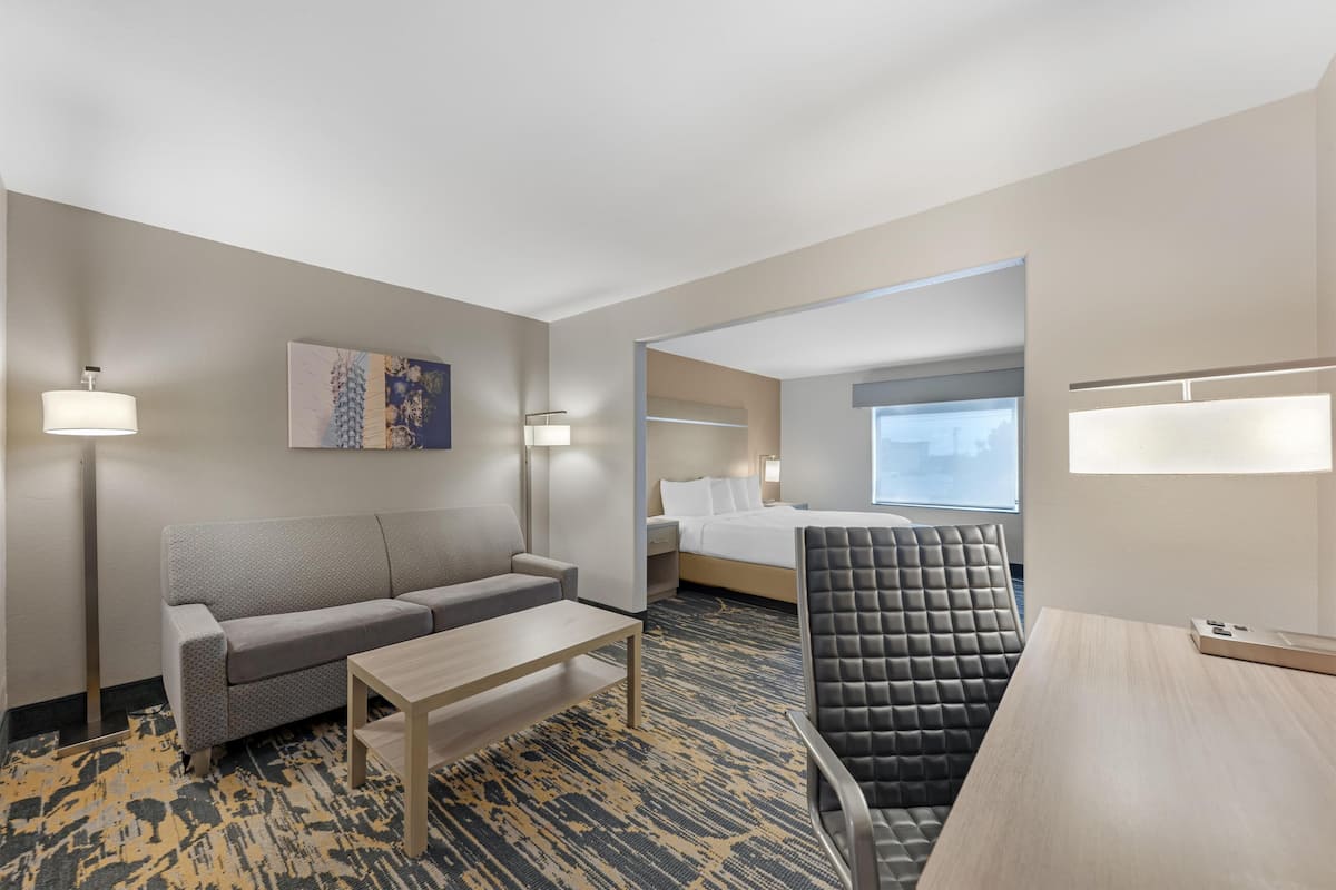 Standard Room, 1 King Bed, Accessible, Non Smoking (Walk-in Shower;with Sofabed) | Down comforters, pillowtop beds, desk, laptop workspace