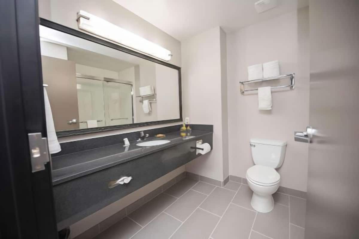 Baño | Cabezal de ducha con hidromasaje