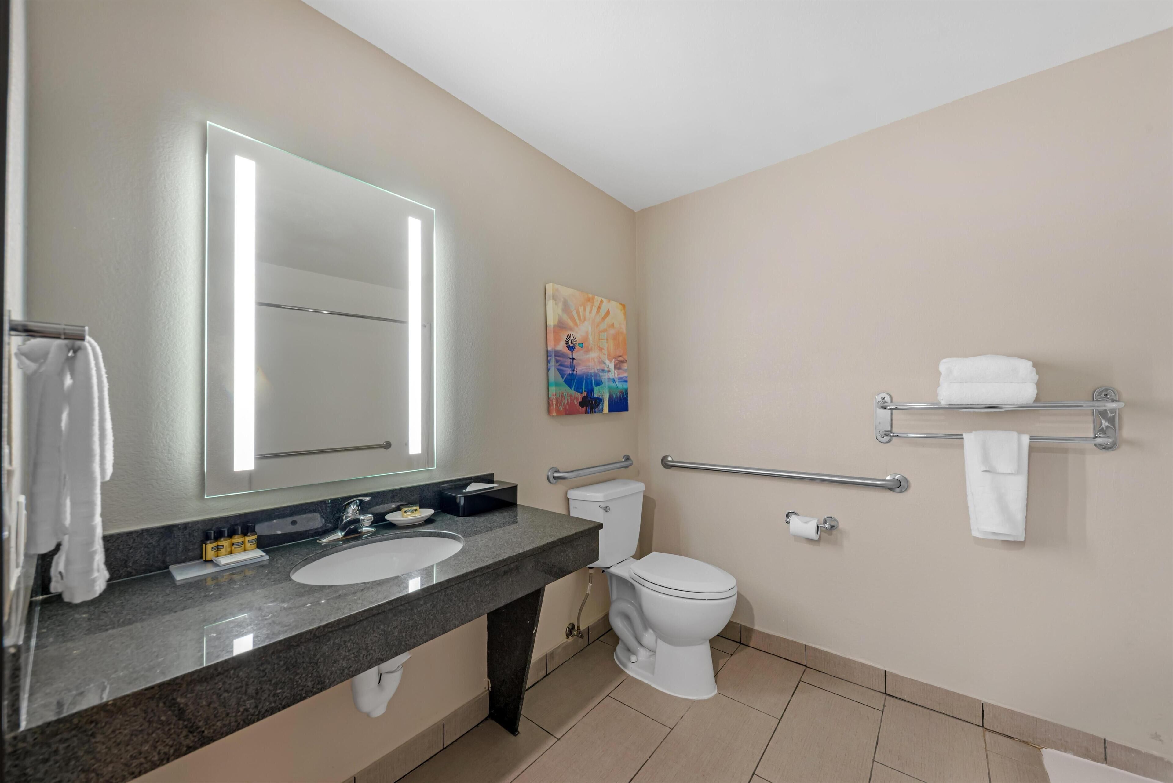 A modern bathroom with a large mirror, a sink, a toilet, and a handrail.