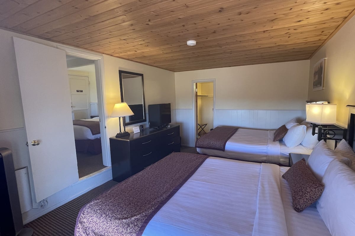 Habitación de hotel con dos camas, un aparador, un televisor y un espejo.