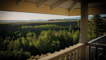 Une vue depuis un porche abrité, donnant sur un paysage boisé avec des montagnes à l’horizon.