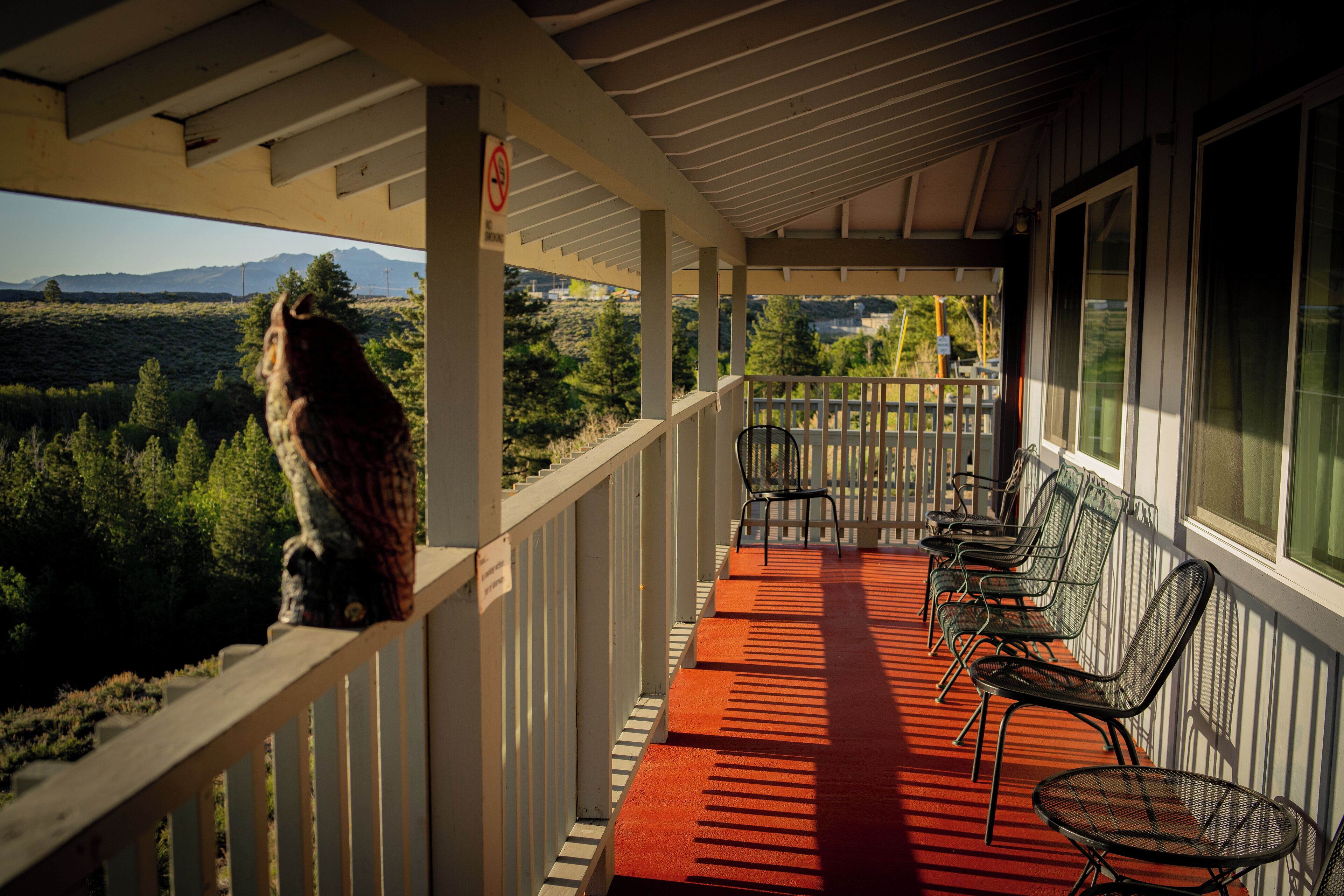 A covered outdoor area with a red carpet, metal chairs, and a view of a forest and mountains.