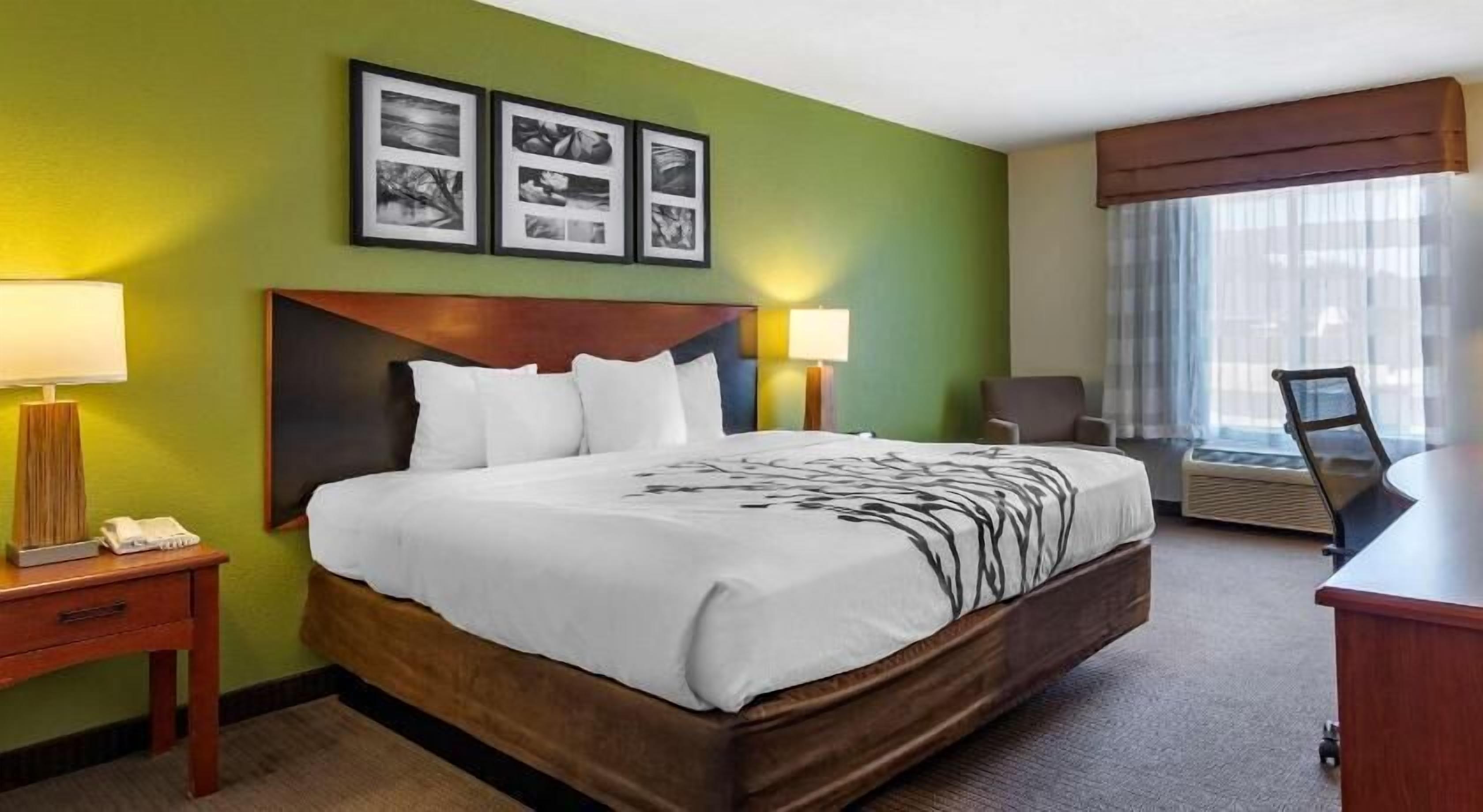 Premium bedding, desk, iron/ironing board, free cribs/infant beds