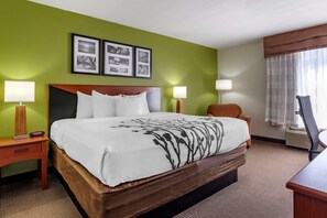 Standard Room, 1 King Bed, Non Smoking - Sleep Inn & Suites Stockbridge Atlanta South (Stockbridge)