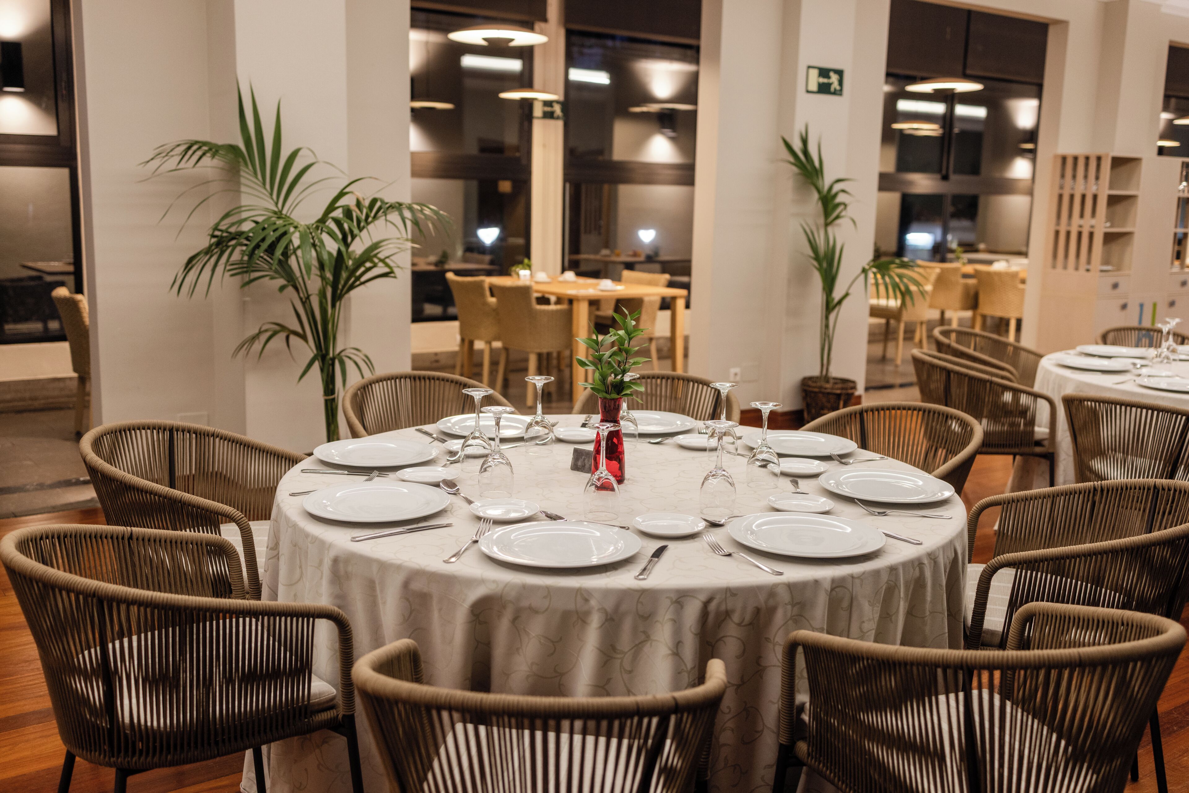 Un comedor con mesas redondas, sillas de mimbre y plantas en macetas.