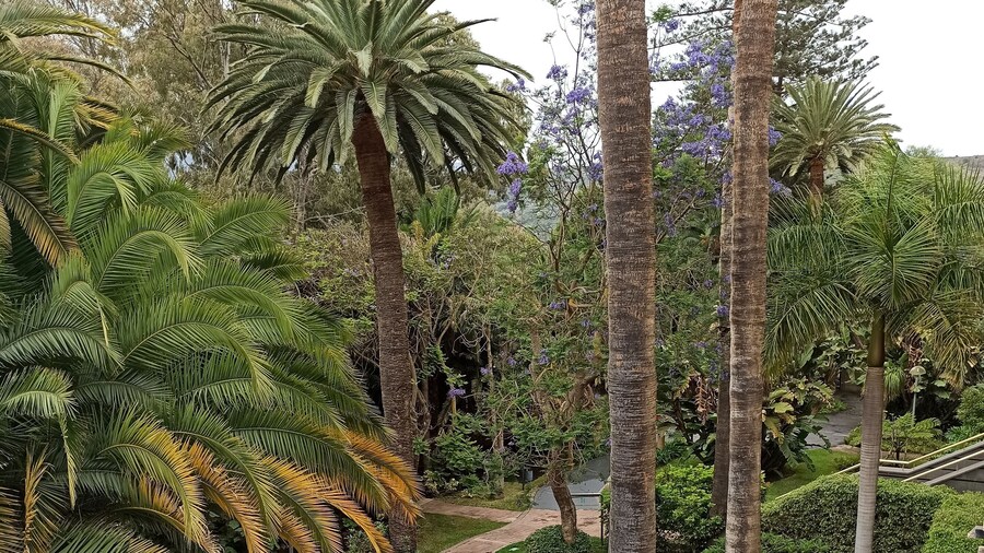 Hotel Escuela Santa Brígida