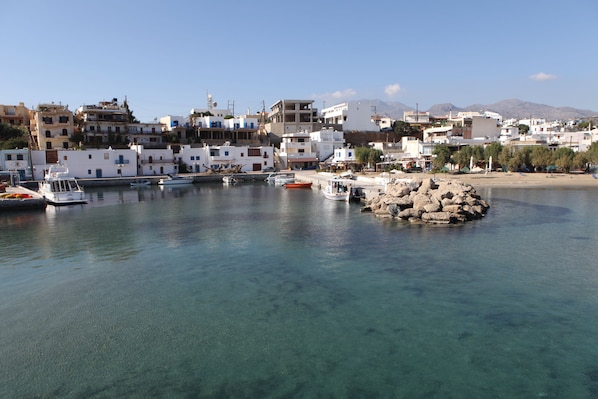 Vista desde la propiedad