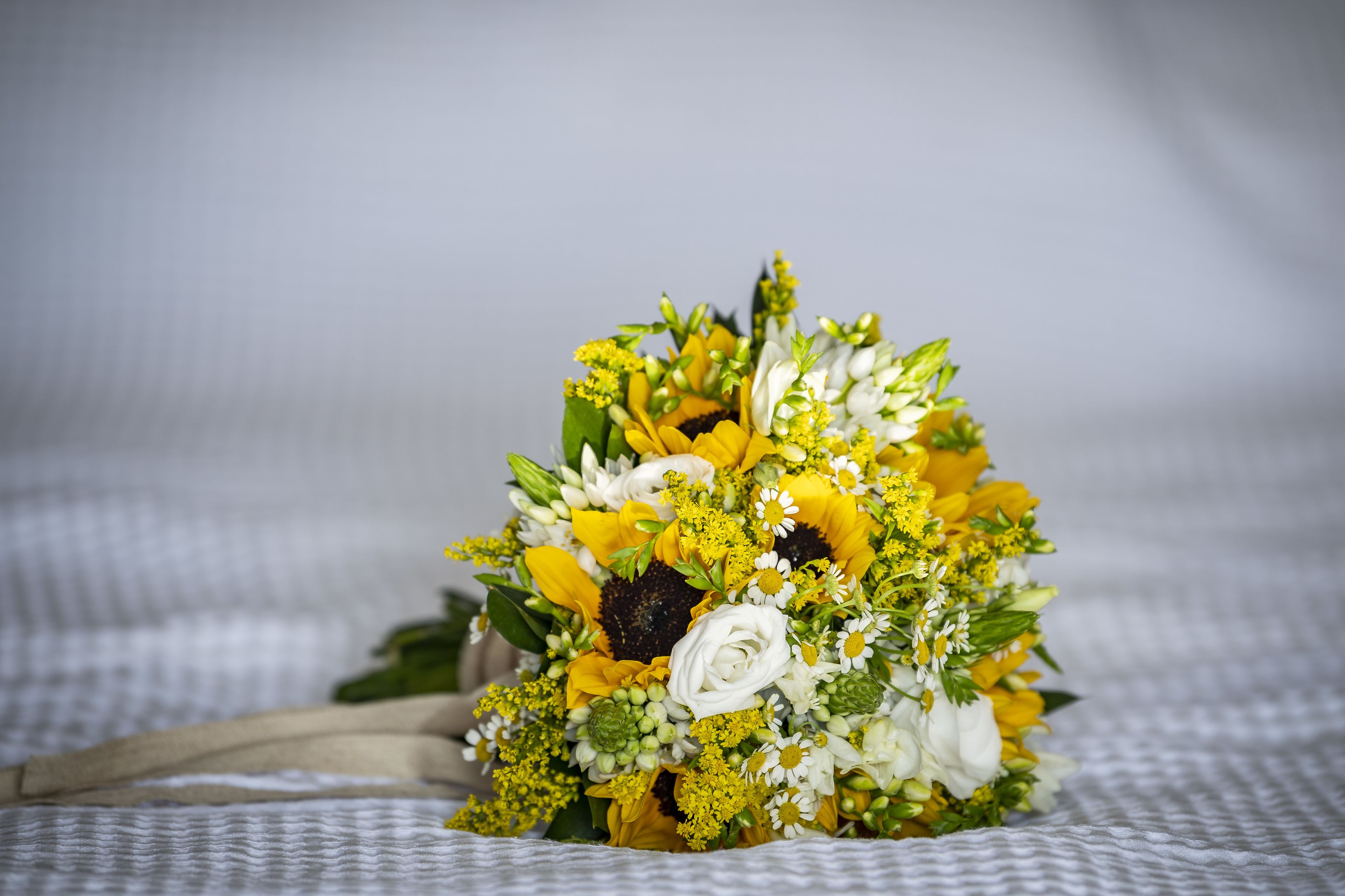 Foto - Pyrgaki Hotel