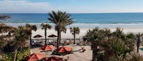 A beachside patio with outdoor seating and palm trees, overlooking the ocean.