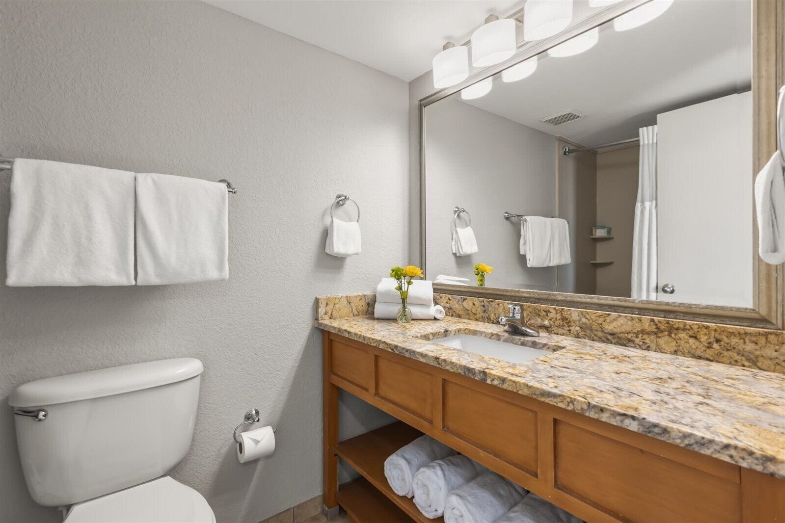 A bathroom with a toilet, sink, mirror, and towel racks.