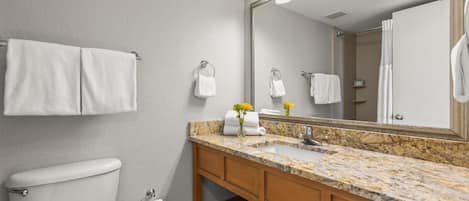 A bathroom with a toilet, sink, mirror, and towel racks.