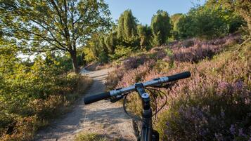 A bicycle on a dirt path surrounded by purple heather.