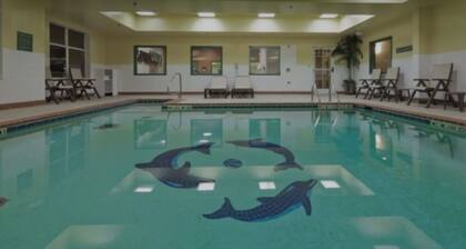 Red Roof Inn PLUS+ & Suites Birmingham - Bessemer