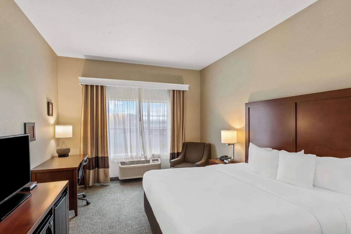 Standard Room, 1 King Bed, Non Smoking | Premium bedding, desk, laptop workspace, iron/ironing board