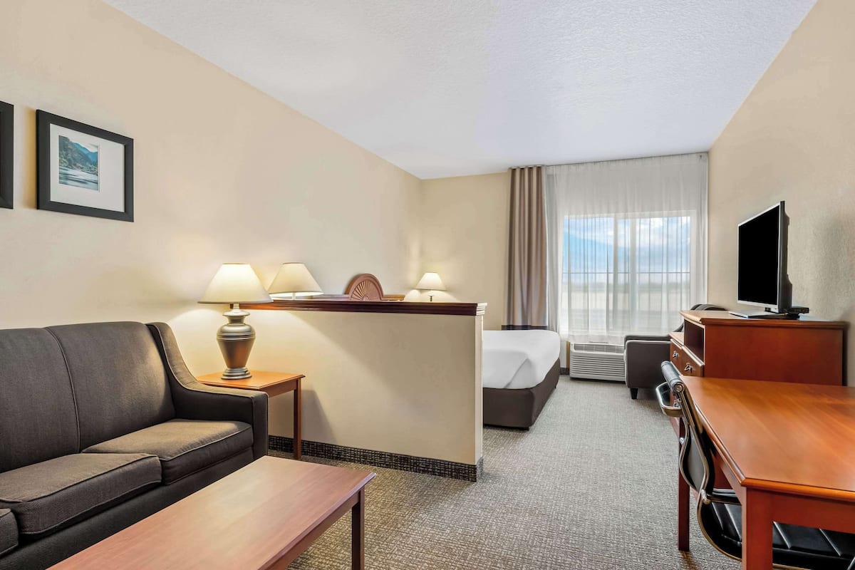 A hotel room with a sofa, a desk, a bed, a TV, and a window with curtains.