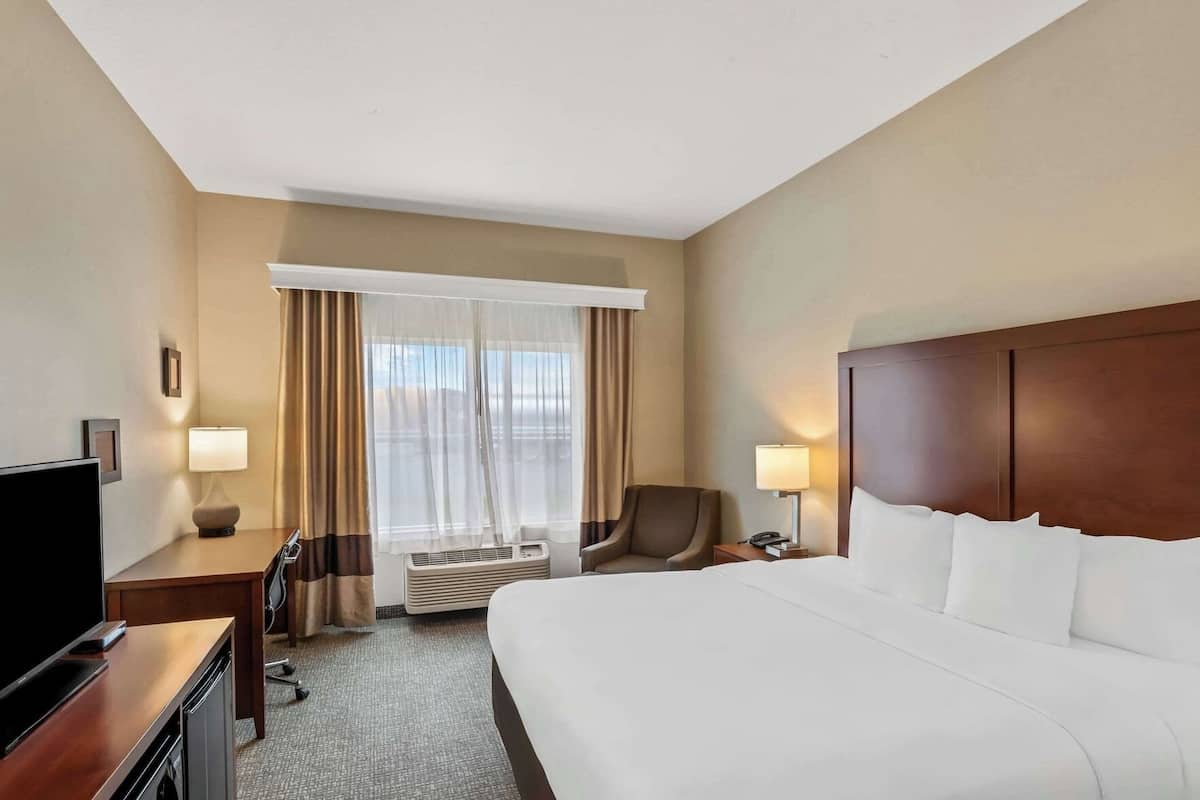 Premium bedding, individually decorated, individually furnished, desk