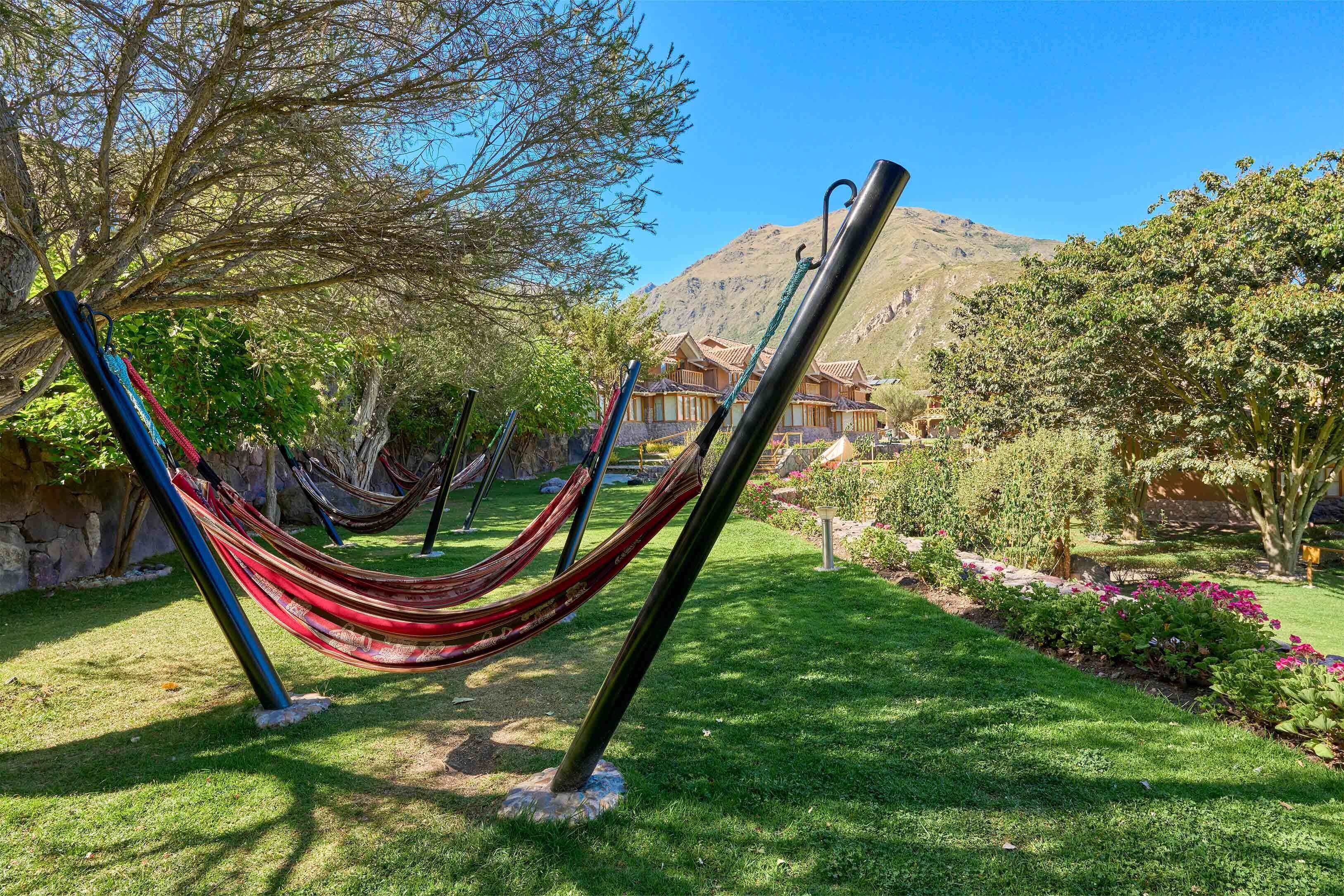 Una hamaca en un jardín con montañas al fondo.