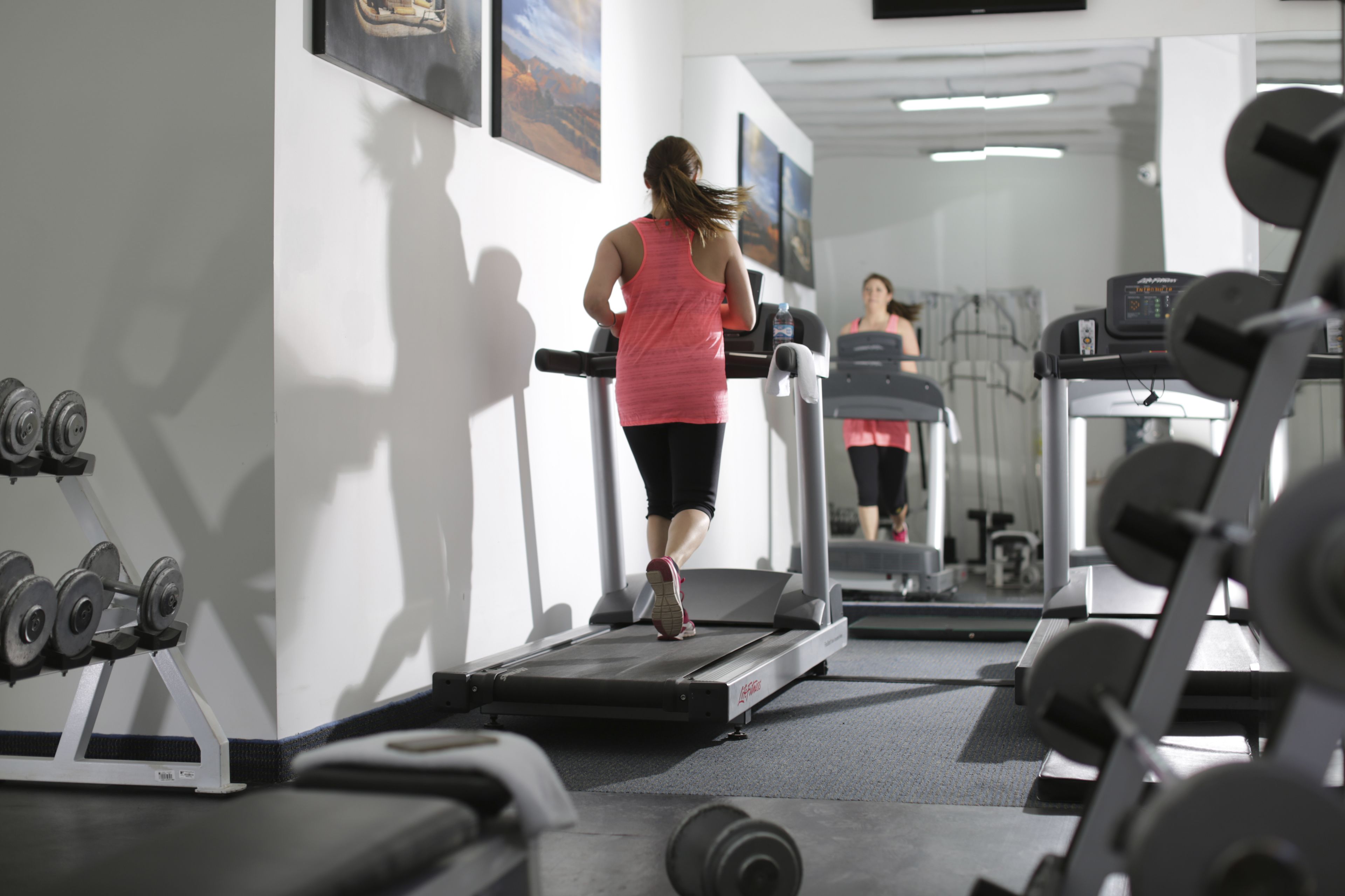Un gimnasio con cintas de correr, pesas y equipamiento de ejercicio.