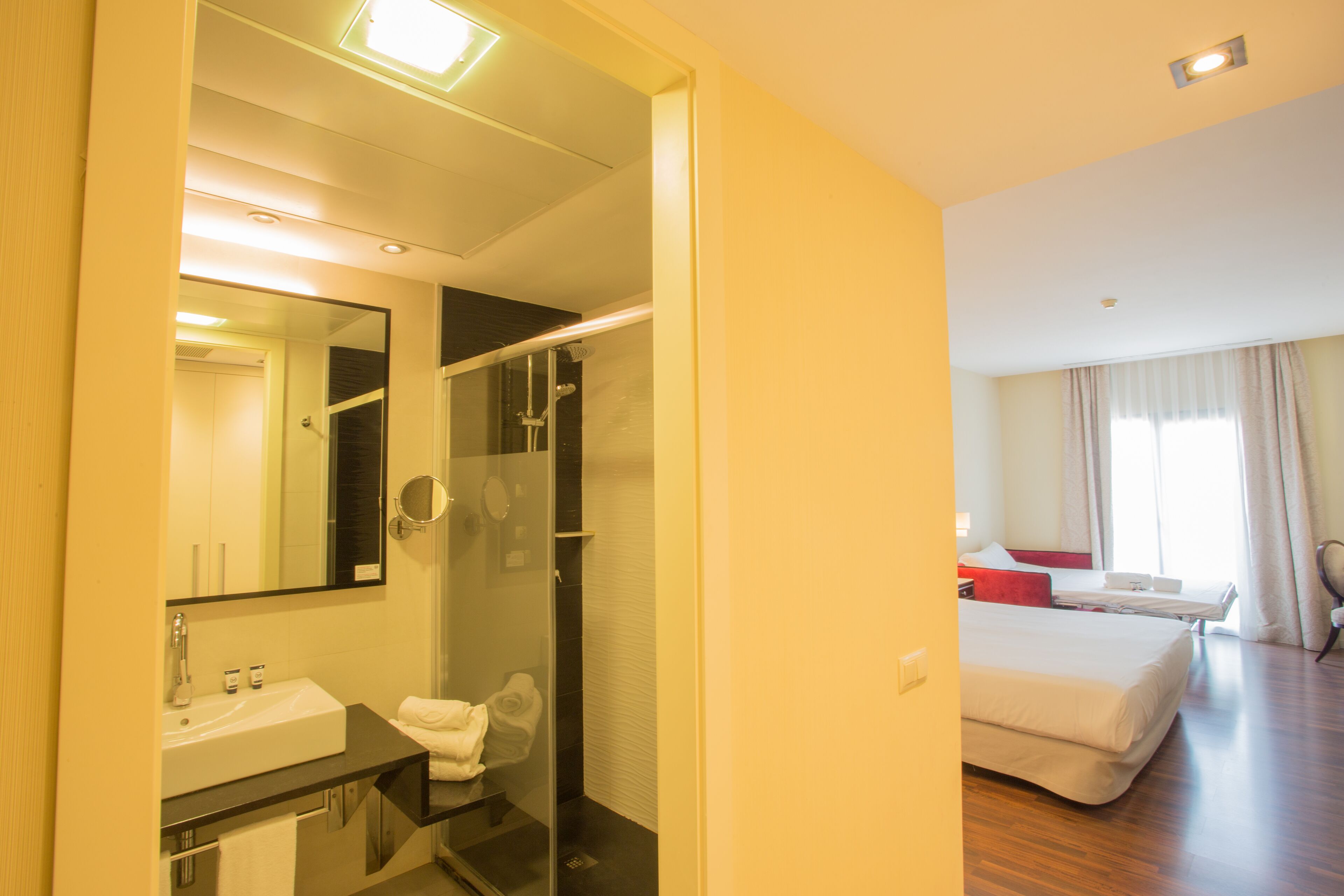 Una habitación de hotel con baño, una cama y ducha.