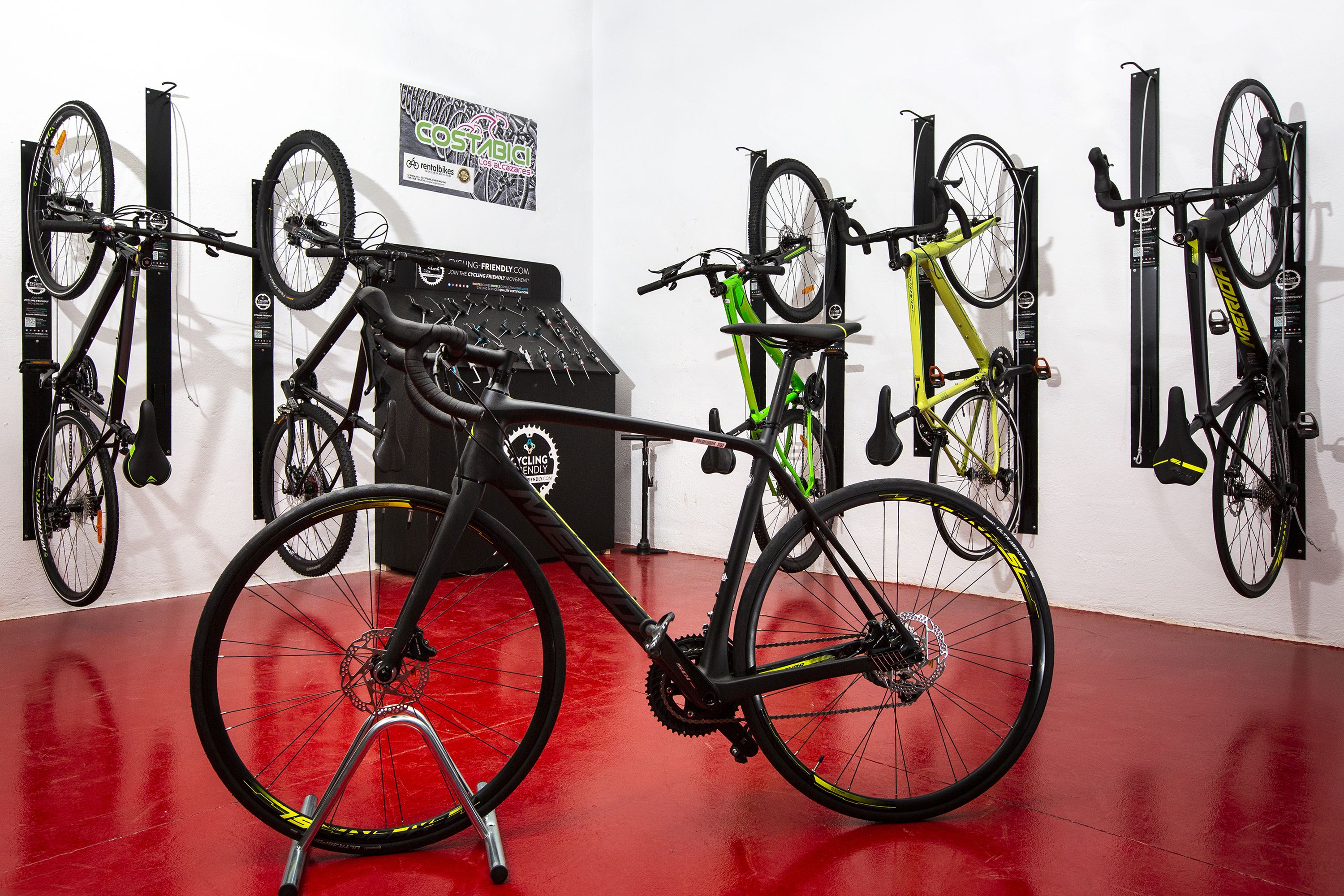 Una tienda de bicicletas con varias exhibidas en estantes colgantes.