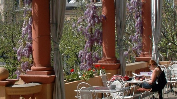 Un café al aire libre con sillas y mesas de metal blanco, rodeado de columnas rojas y enredaderas florecientes de color morado.