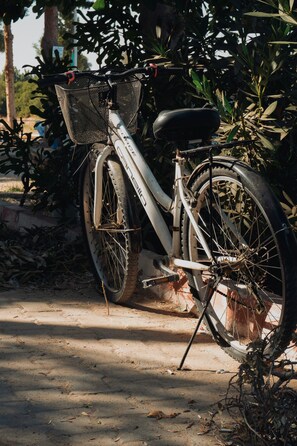 Un vélo est garé sur un chemin de terre, et un panier est fixé à l’avant.