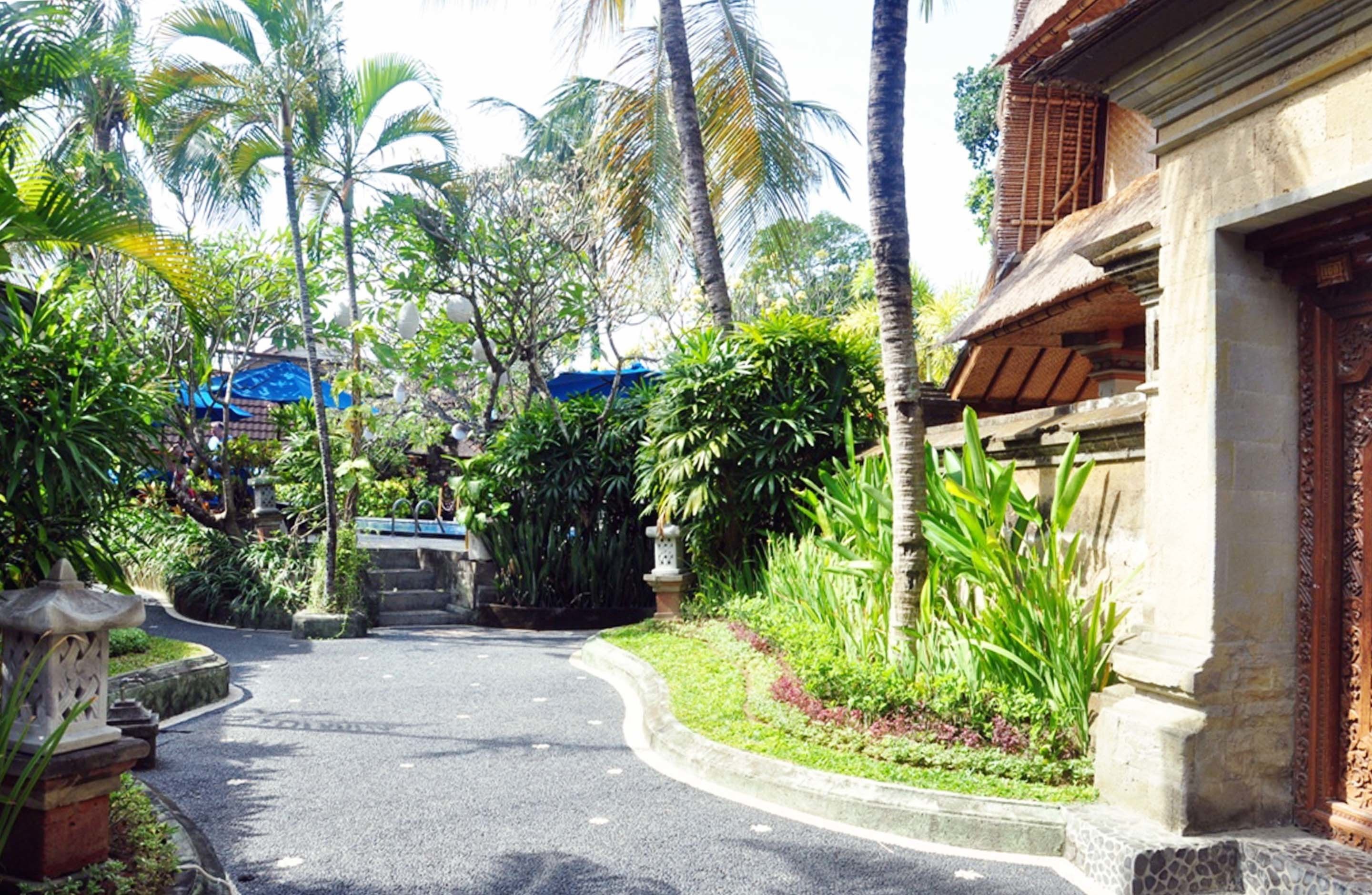 A pathway leading to a building with traditional architecture, surrounded by lush greenery and palm trees.