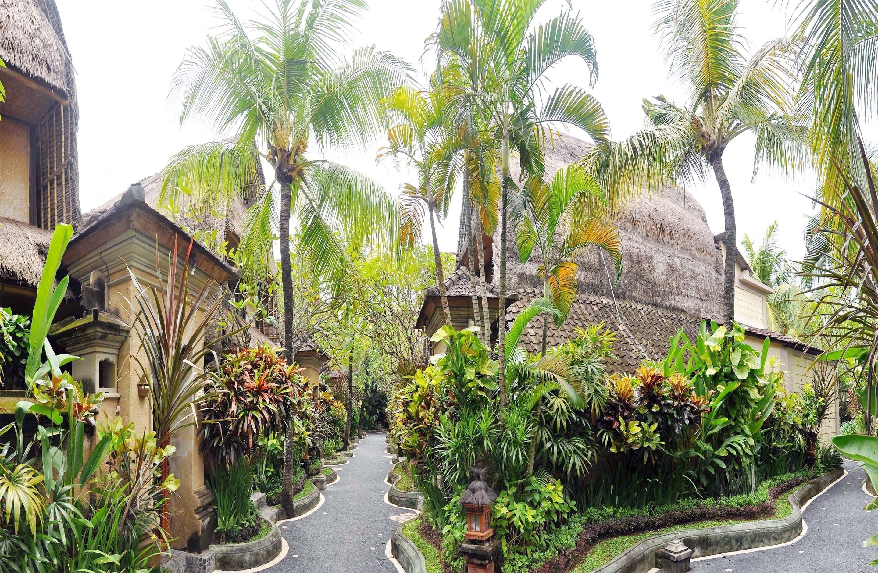 A tropical garden pathway leading to a traditional thatched-roof building.