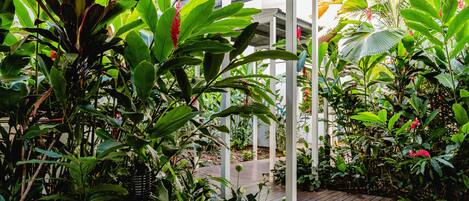 A covered garden area with various tropical plants and a wooden deck.