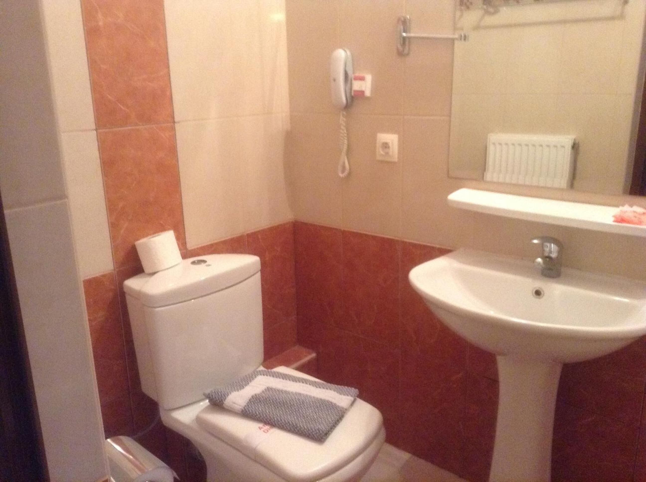 A small bathroom with a toilet, a sink, and a mirror.