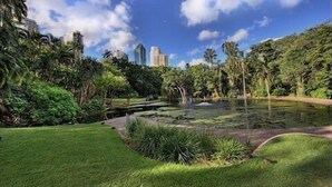Een weelderig park met een vijver, groen gras en hoge bomen.