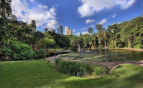 Ein üppiger Park mit Teich, grünem Rasen und hohen Bäumen.