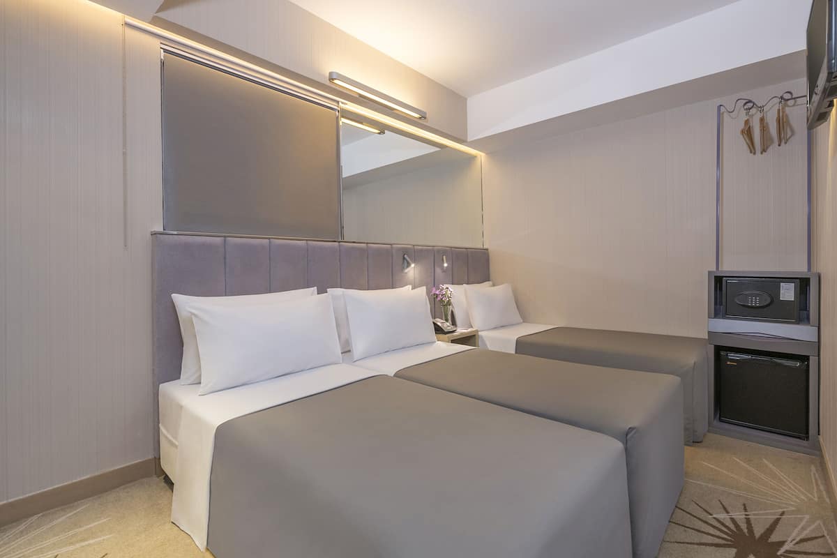 Une chambre d’hôtel avec deux lits, un grand miroir, un petit bureau et un four à micro-ondes.