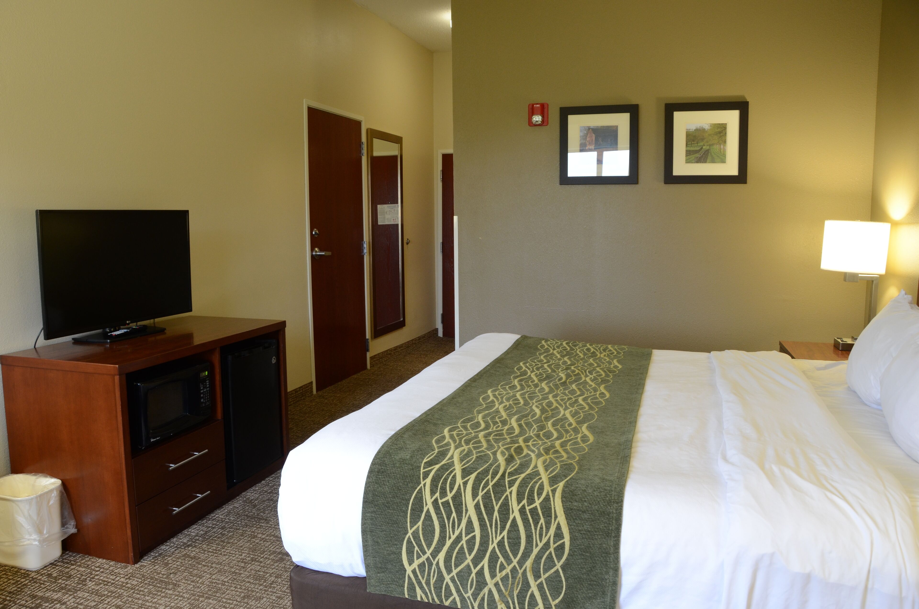 Una habitación de hotel con una cama, un televisor en un mueble de madera, un microondas y un cubo de basura.