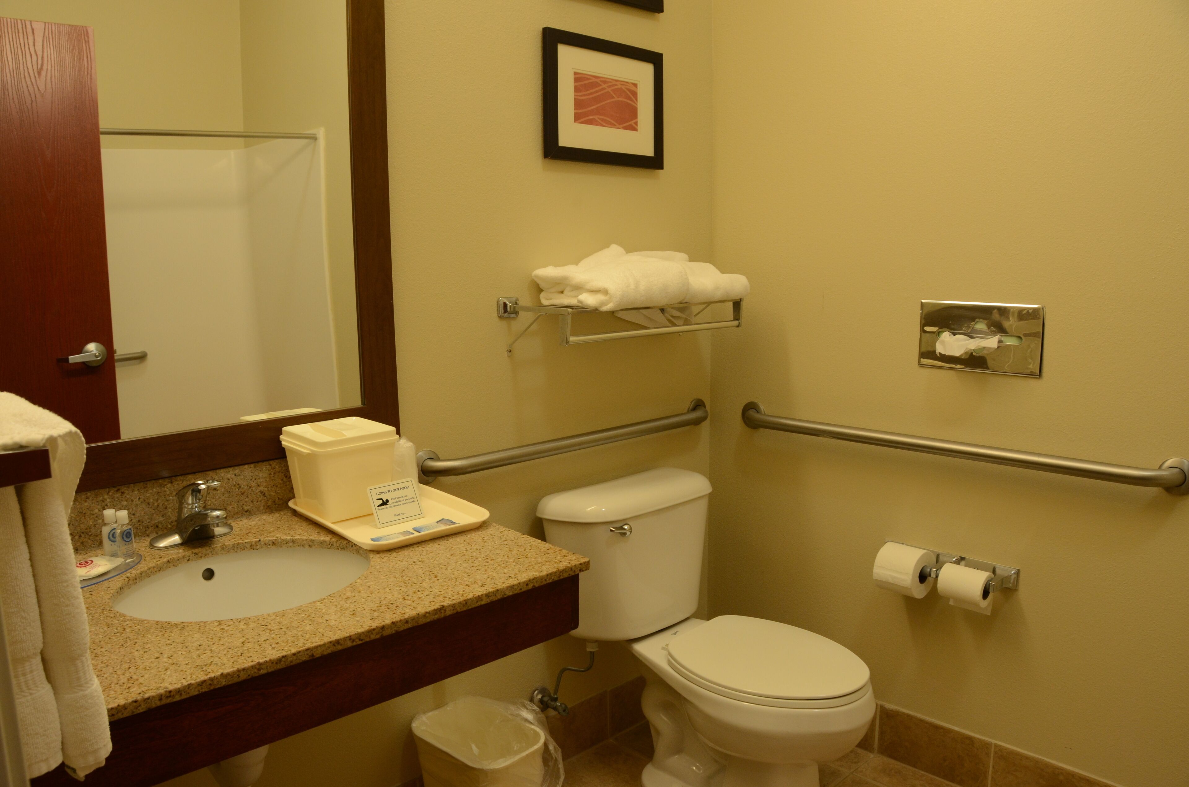 standard room, 1 king bed, accessible, non smoking | bathroom | free toiletries, hair dryer, towels