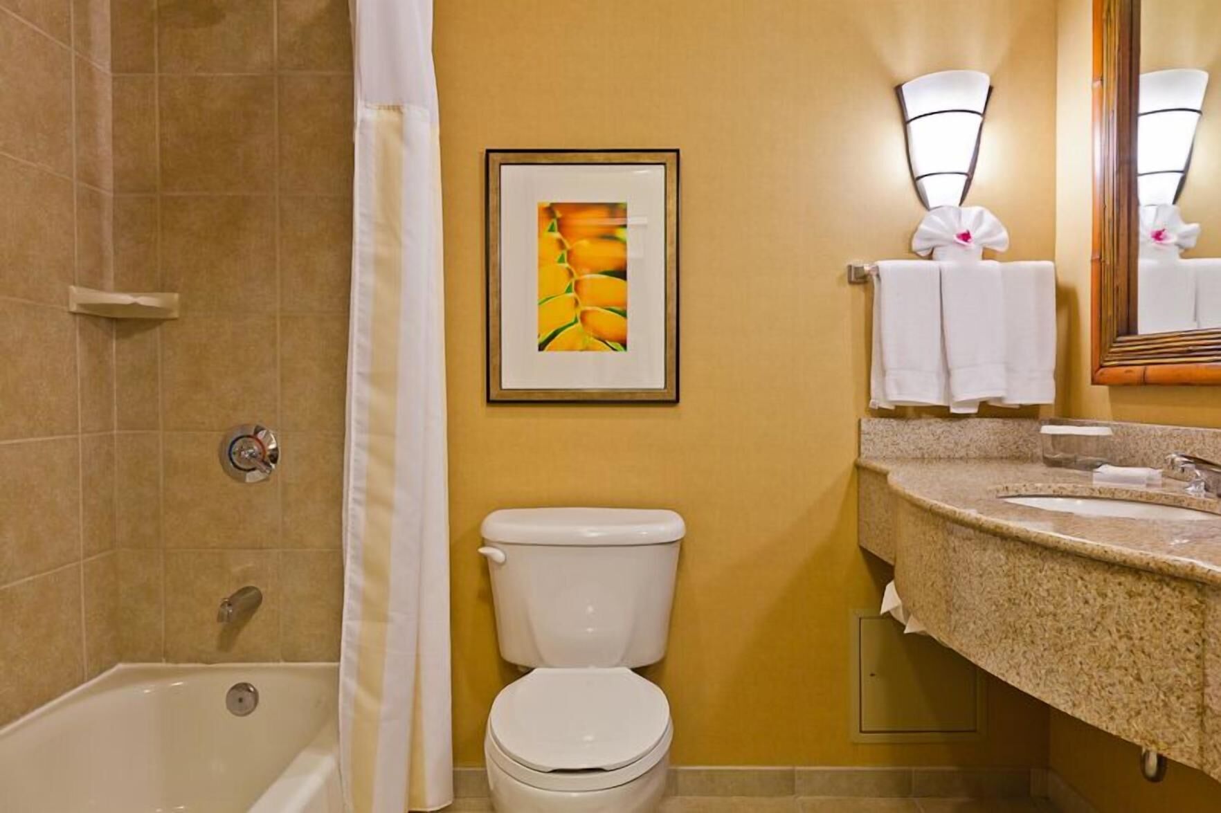 Baño | Tina con regadera, amenidades de baño gratuitas, toallas 