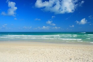 해변에 위치, 백사장, 일광욕 의자, 비치 파라솔