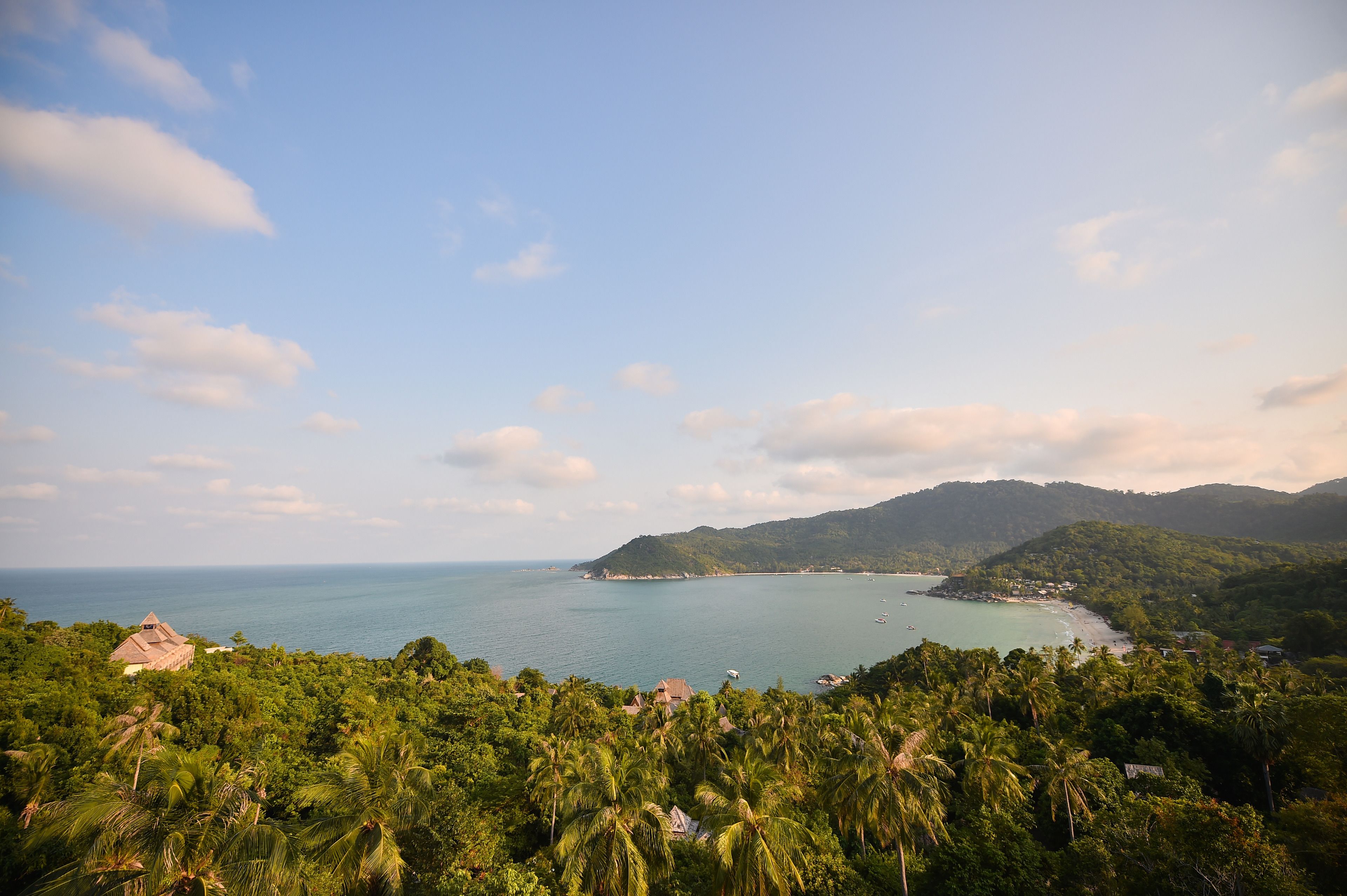 Un paisaje costero con playa, cielo despejado y exuberante vegetación.
