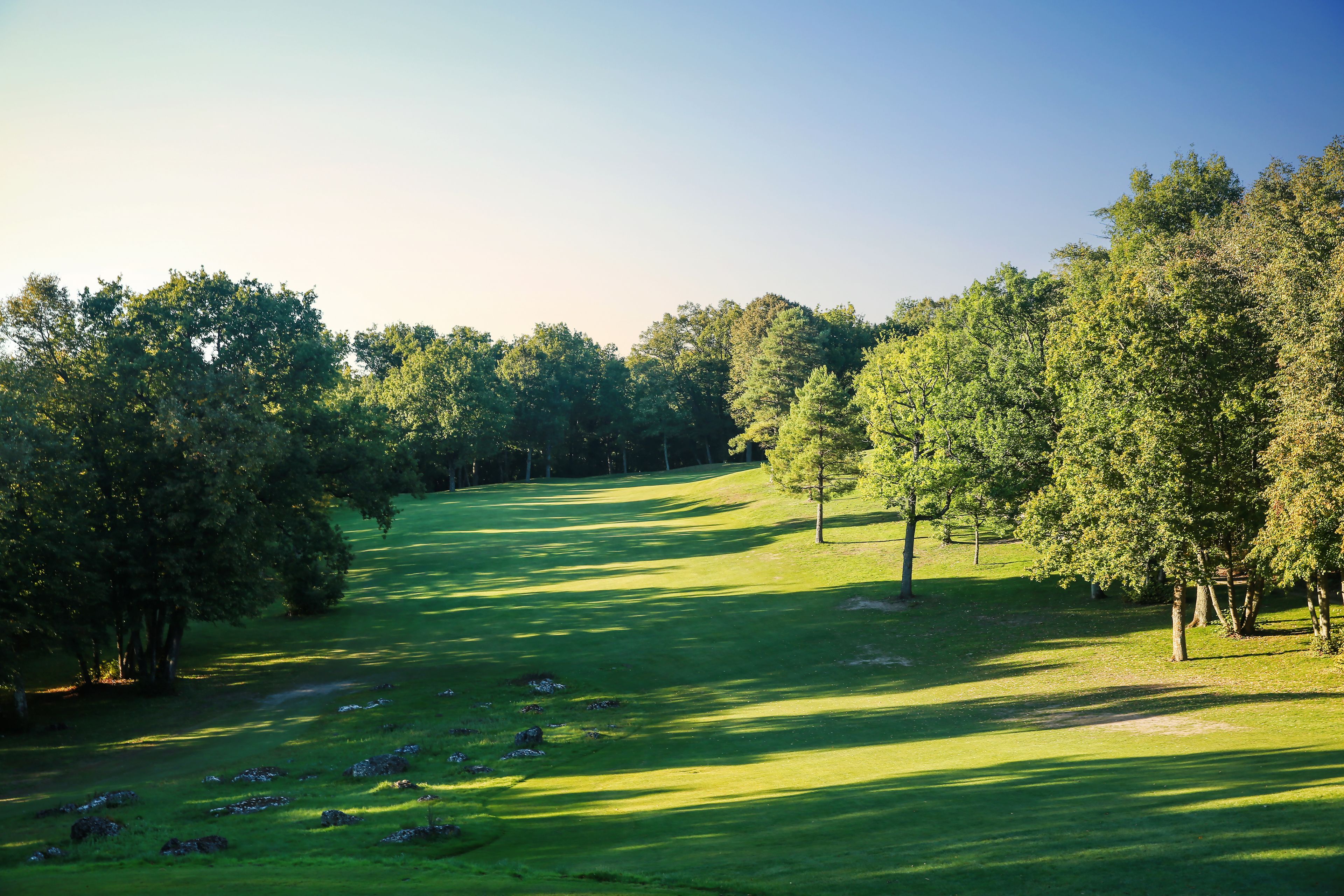 Un campo de golf con un césped cuidado, árboles y cielo despejado.