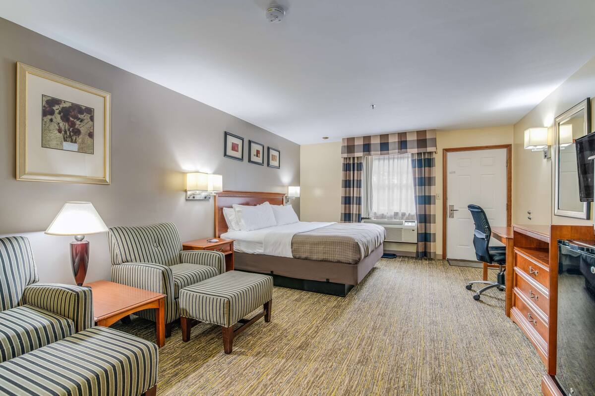 Room, 1 King Bed, Non Smoking | Desk, blackout drapes, iron/ironing board, rollaway beds (surcharge)